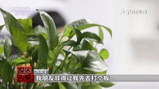 女子丰胸检出骆驼等动物源性成分 医美乱象警示