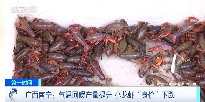 龙虾价格暴跌_小龙虾身价暴跌_小龙虾下跌