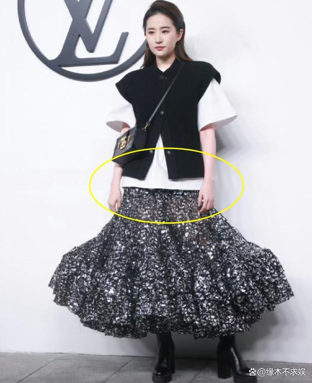 刘亦菲裙子好像钢丝球开花 网友：靠脸撑起这条裙子
