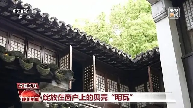 生机勃勃的春天作文800字_春天里的文化中国“生机勃勃”_从生机勃勃的春天感受生命