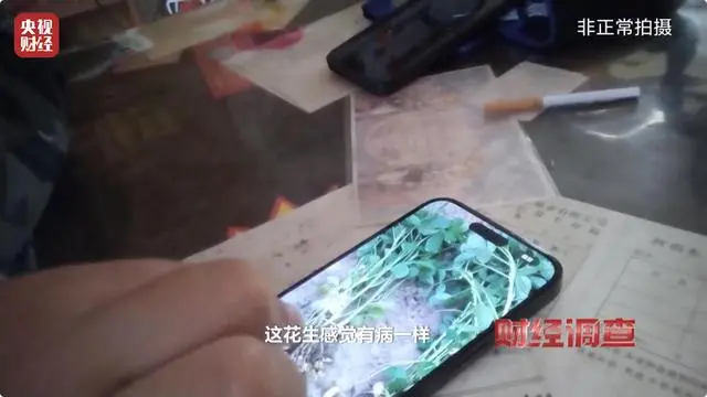 量子技术产品骗局_“量子科技”种庄稼抗灾增产是骗局_量子科技到底有多可怕