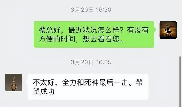 京东蔡磊个人简历_京东副总裁蔡磊的联系方式_前京东副总裁蔡磊病情加重