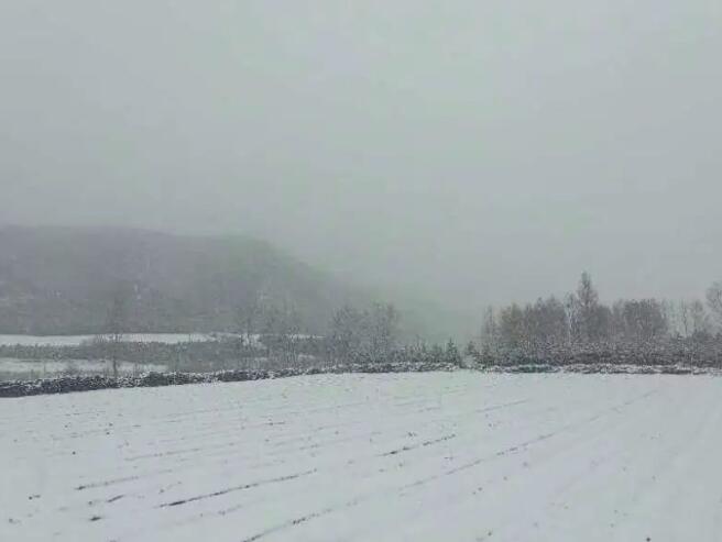 承德围场盖子沟村降雪