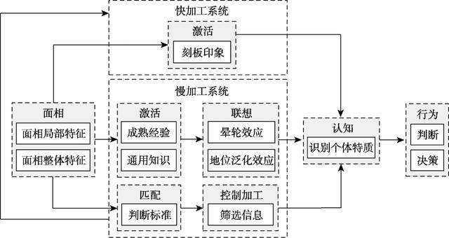 为什么说“龙系长相”是天生演员 野性与钝感并存