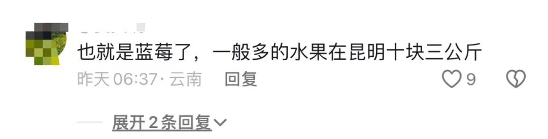 昆明蓝莓_昆明蓝莓12元1盒震惊外地游客_昆明蓝莓包装盒