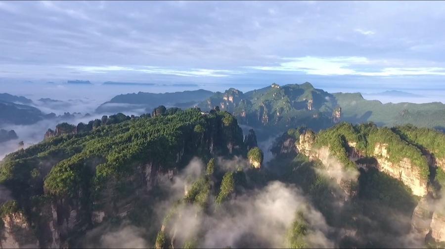 人流涌动背后的市场活力_人流大的市场做什么赚钱_人流动向以及消费分析