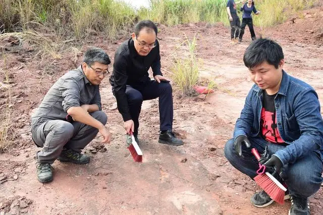 福建发现12000吨大佛_福建发现恐爪龙类足迹 或为全球最大_福建爆发源头