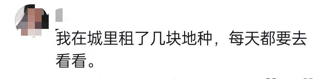 想辞职回家种地_年轻人流行辞职去种地_想辞职搞种植