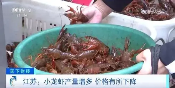 建议一次食用小龙虾不超10只_龙虾的食用禁忌_龙虾饮食
