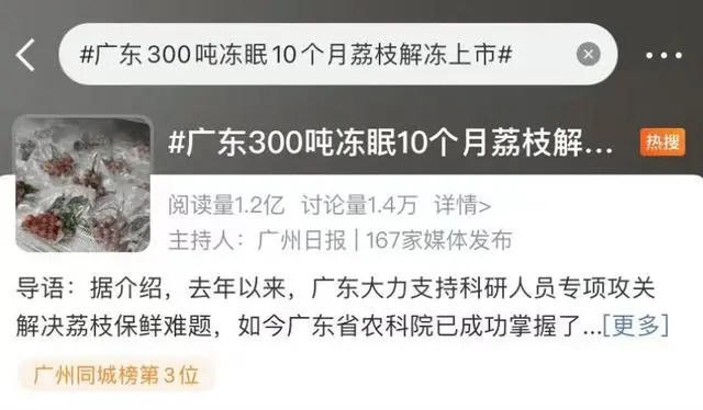 荔枝冻结冰_荔枝冻属于_广东300吨冻眠10个月荔枝解冻上市