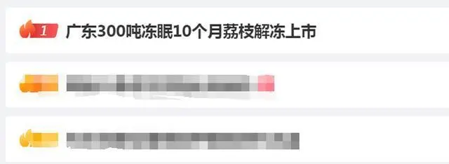 荔枝冻结冰_广东300吨冻眠10个月荔枝解冻上市_荔枝冻属于