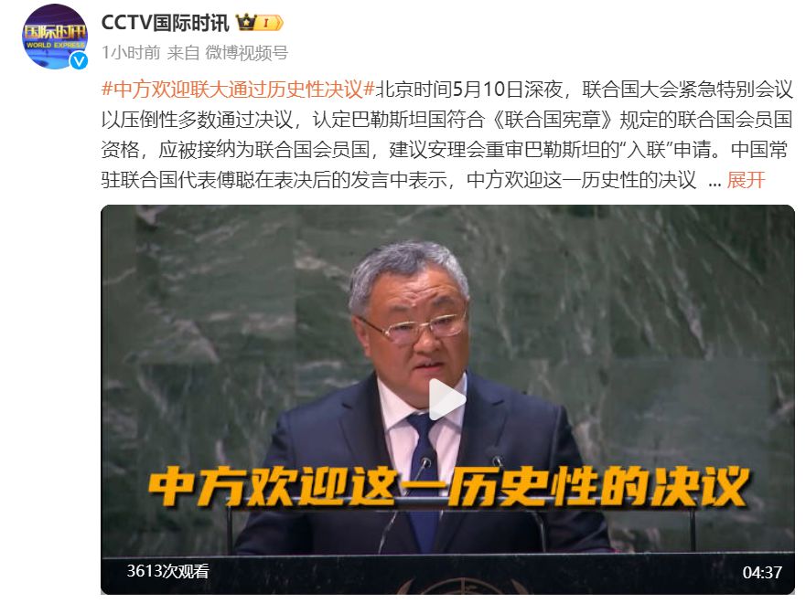 巴勒斯坦加入联合国被一票否决_巴勒斯坦进联合国_联大通过涉巴勒斯坦入联决议