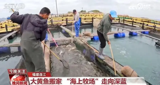 大食物观念_我们应该树立怎样的饮食观_树立大食物观