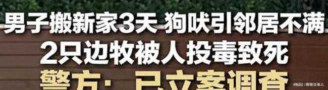 男子两只宠物犬被人隔墙毒死