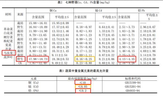 这种长寿菜现在吃正好