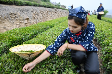 华春莹任外交部副部长_华春莹任外交部副部长_华春莹任外交部副部长