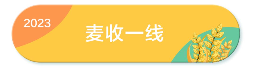 “三夏”大规模小麦机收全面展开_小麦收割情况_全国小麦收割进度