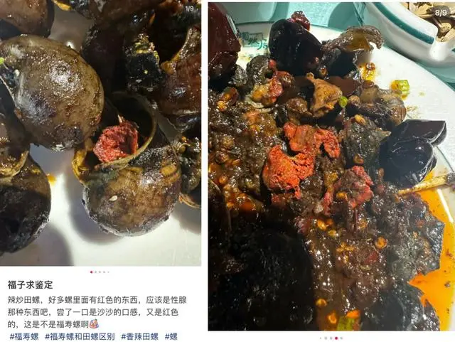 福寿螺大餐_江苏福寿螺_山西运城一餐厅被曝售卖福寿螺