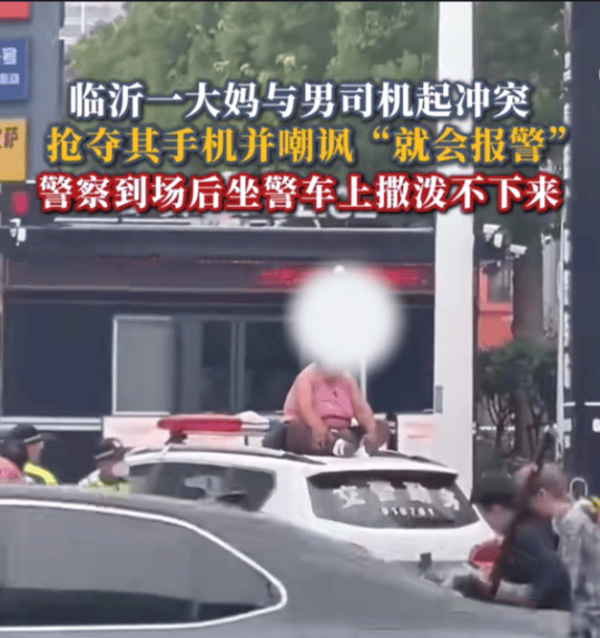 大妈强夺花臂男手机坐警车上撒泼_警察大妈_大妈袭警