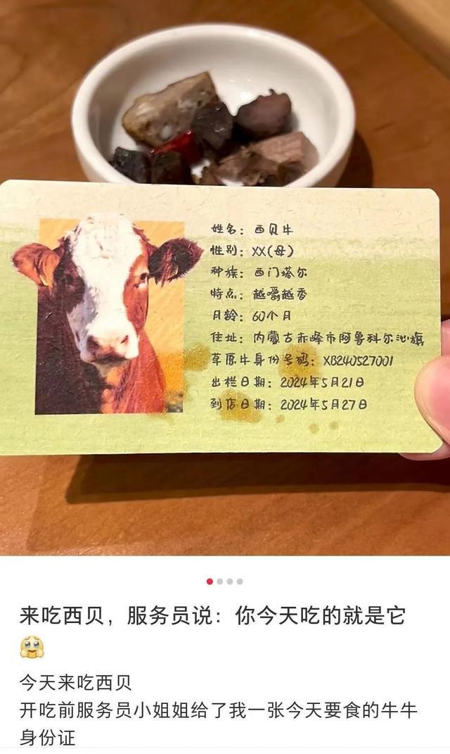 食客收到被吃牛的“身份证”