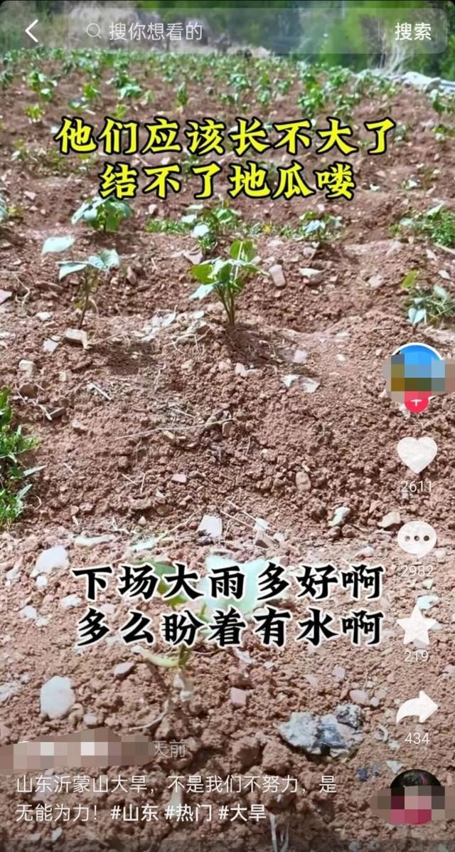 山东沂蒙山区旱情严重农作物死亡