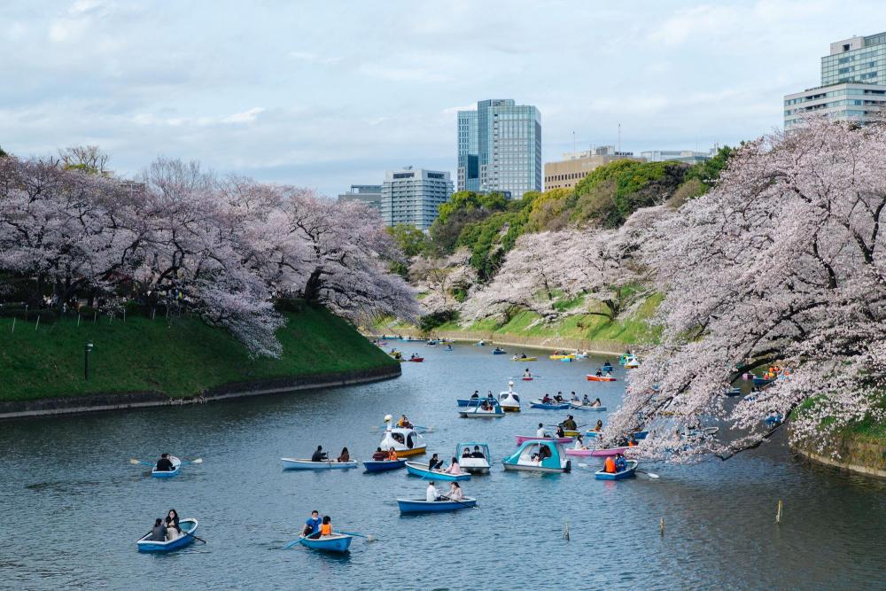 日本多地居民血检异常_日本多地居民血检异常_日本多地居民血检异常