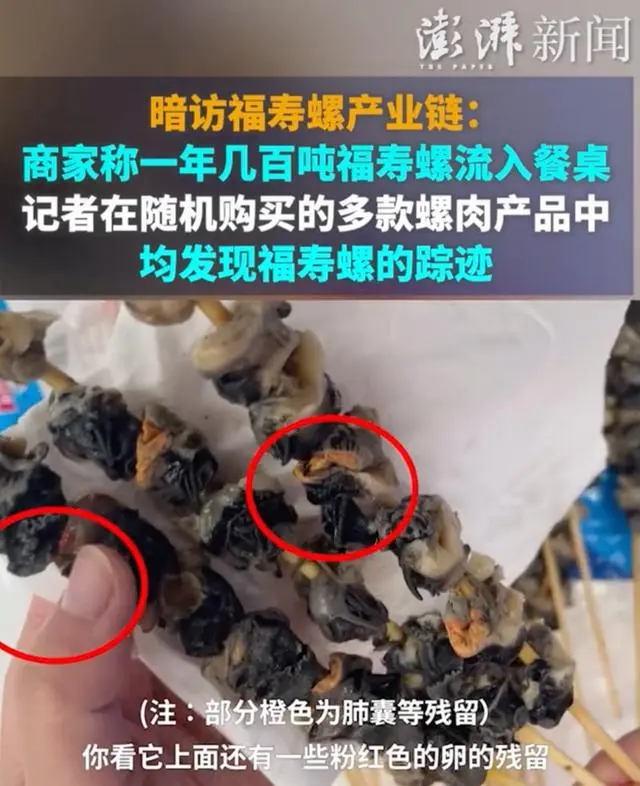 一只福寿螺可含6000条寄生虫_寄生福寿螺的寄生虫_福寿螺的寄生虫杀得死吗