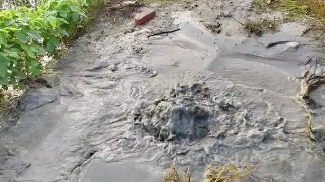 为何洞庭湖区易发生管涌_洞庭湖灾害_洞庭湖水灾