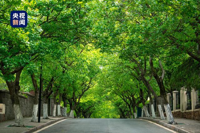 现实中的西虹市原来藏在青岛 跟随电影《抓娃娃》畅游这座美丽城市！