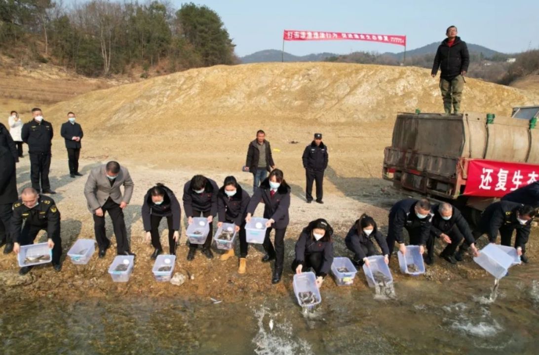 男子猎杀野兔 自愿认购16.18吨碳汇_男子猎杀野兔 自愿认购16.18吨碳汇_男子猎杀野兔 自愿认购16.18吨碳汇