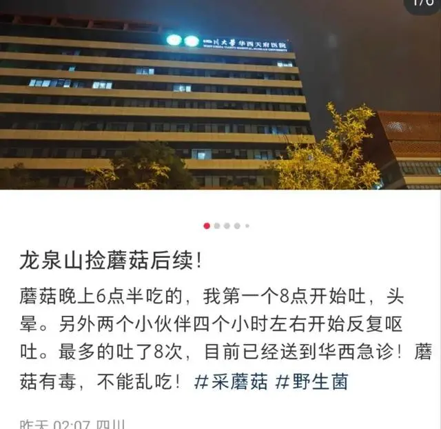 野子台湾网友_进美国急诊室后买保险可以吗_网友在龙泉山捡野菌吃进急诊