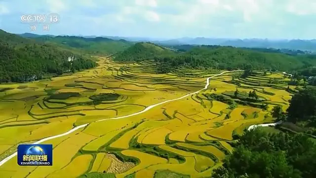 着眼中国式现代化建设全局_现代化建设全局的重要指导方针_现代化全局建设的核心