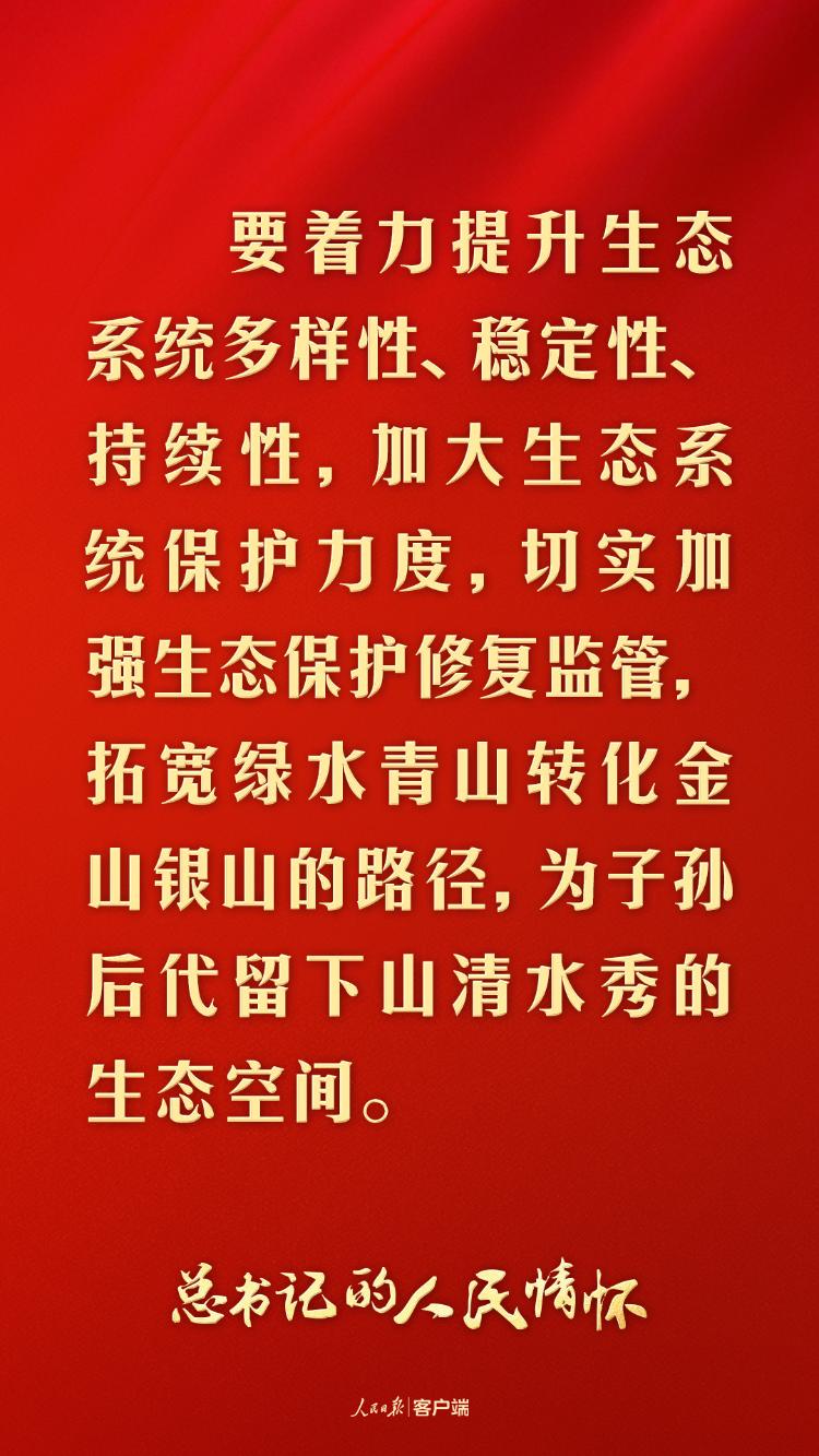 总书记的人民情怀_以人民情怀书写党史新篇章_情怀书记人民日报内容