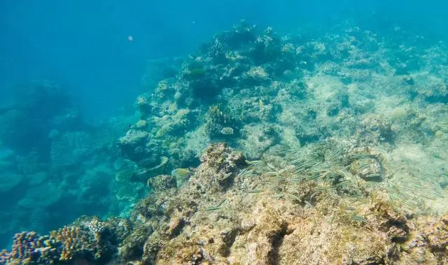 极端天气预警机制_极端天气警示录_极端天气警告