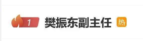 樊振东回应退役传闻_退役传闻回应樊振东是真的吗_退役传闻回应樊振东视频