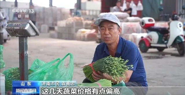 蔬菜上涨引起价格是涨还是跌_是什么引起了蔬菜价格上涨_蔬菜涨价的因素