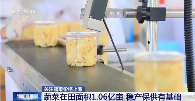 是什么引起了蔬菜价格上涨_蔬菜涨价的因素_蔬菜上涨引起价格是涨还是跌