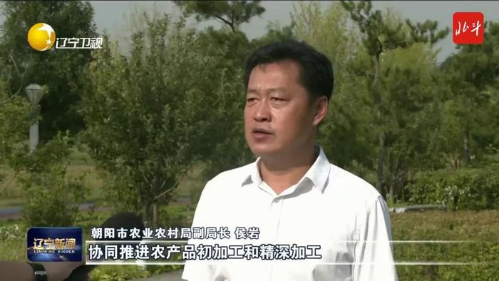 专家论东北人口问题_东北地区人口增长模式_以人口高质量发展支撑东北全面振兴