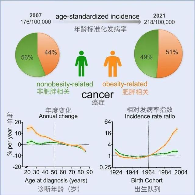 00后癌症发病率是父辈们的25倍 肥胖成诱因，警惕