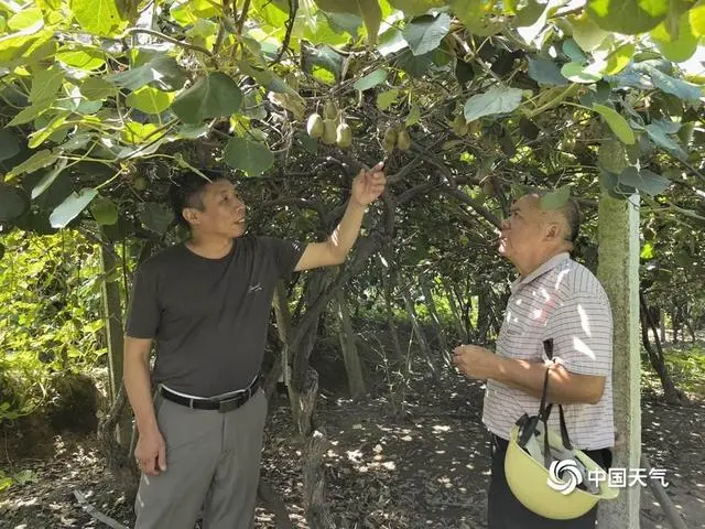 台风“贝碧嘉”来袭_贝碧嘉台风实时路径图_台风贝碧嘉几时登录