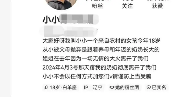 小小网红哪里人_小小网红直播_百万粉丝网红“小小努力生活”被抓