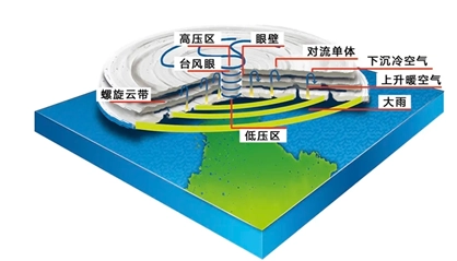 上海机场航班取消_上海两大机场所有航班取消_上海机场全部取消