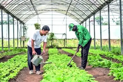 根之茂者其实遂_根之茂者其实遂_根之茂者其实遂