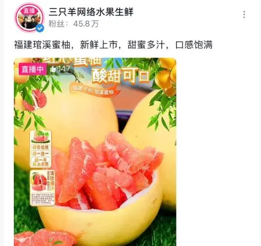 三只羊全面复播_三只羊全面复播_三只羊全面复播