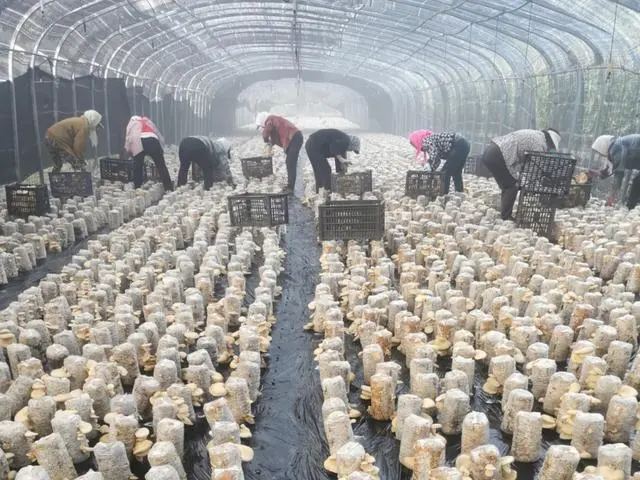 习近平总书记关切事_习近平总书记关切事_习近平总书记关切事