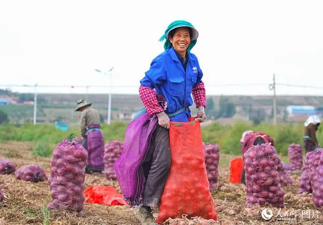 丰收礼赞直播中国_礼赞丰收中国_丰收礼赞诗歌