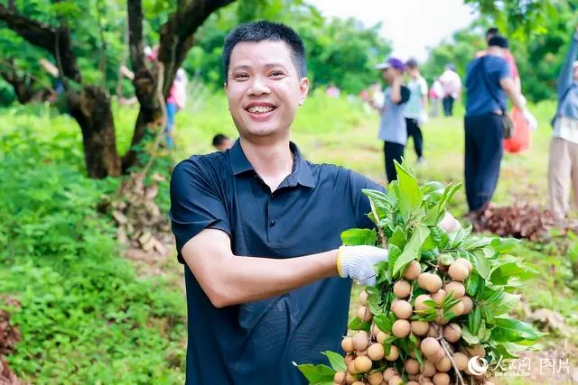 丰收礼赞诗歌_丰收礼赞直播中国_礼赞丰收中国