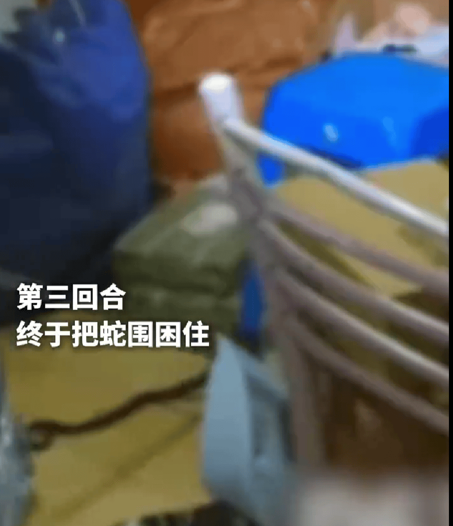 男子网购榴莲快递拆出大蛇_拆快递拆出一条蛇_小伙拆快递拆出一条蛇