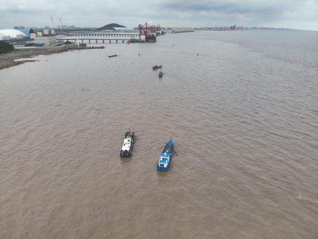 大量海蜇入侵浙江一电厂 24小时轮班徒手“抓海蜇”保供电