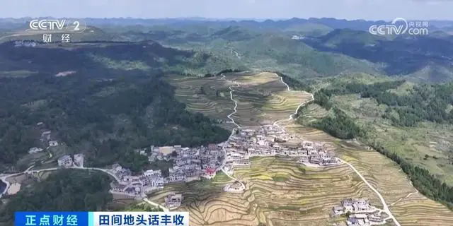 金秋风景图片_金秋好“丰”景_金秋丰收景象